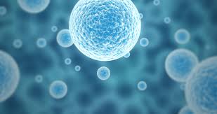 Stem Cells, Growth Factors and Cytokines